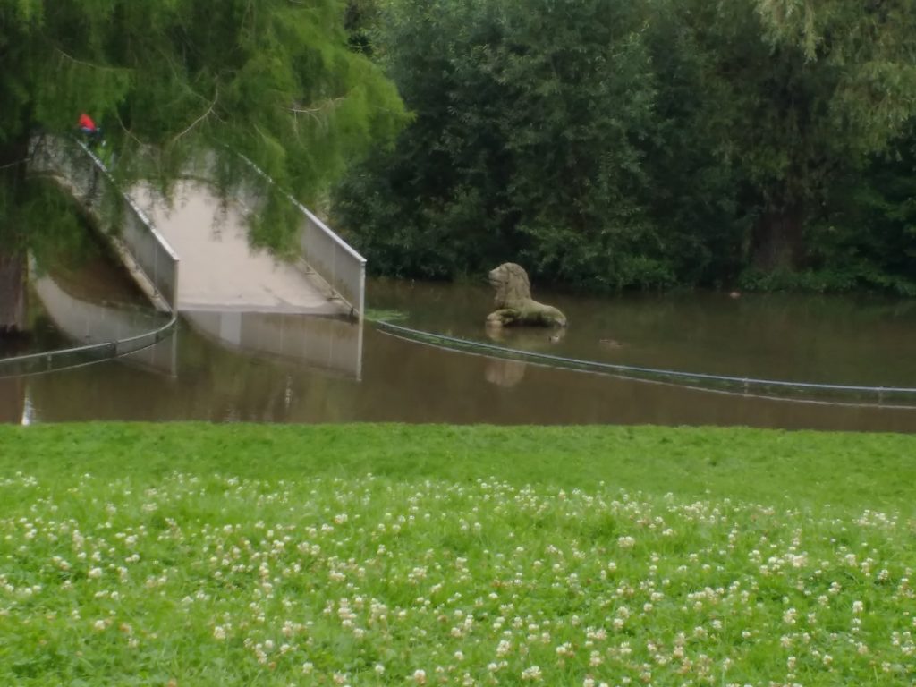 Inselwallpark bei Hochwasser