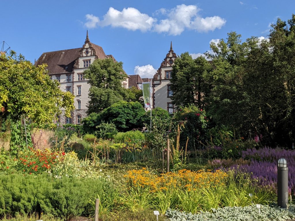 Botanischer Garten
