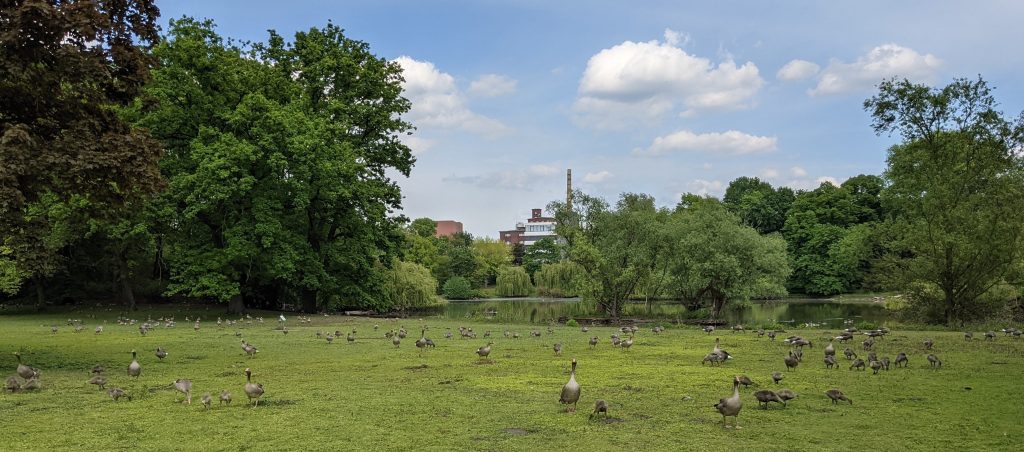 Südlicher Teich von Westen