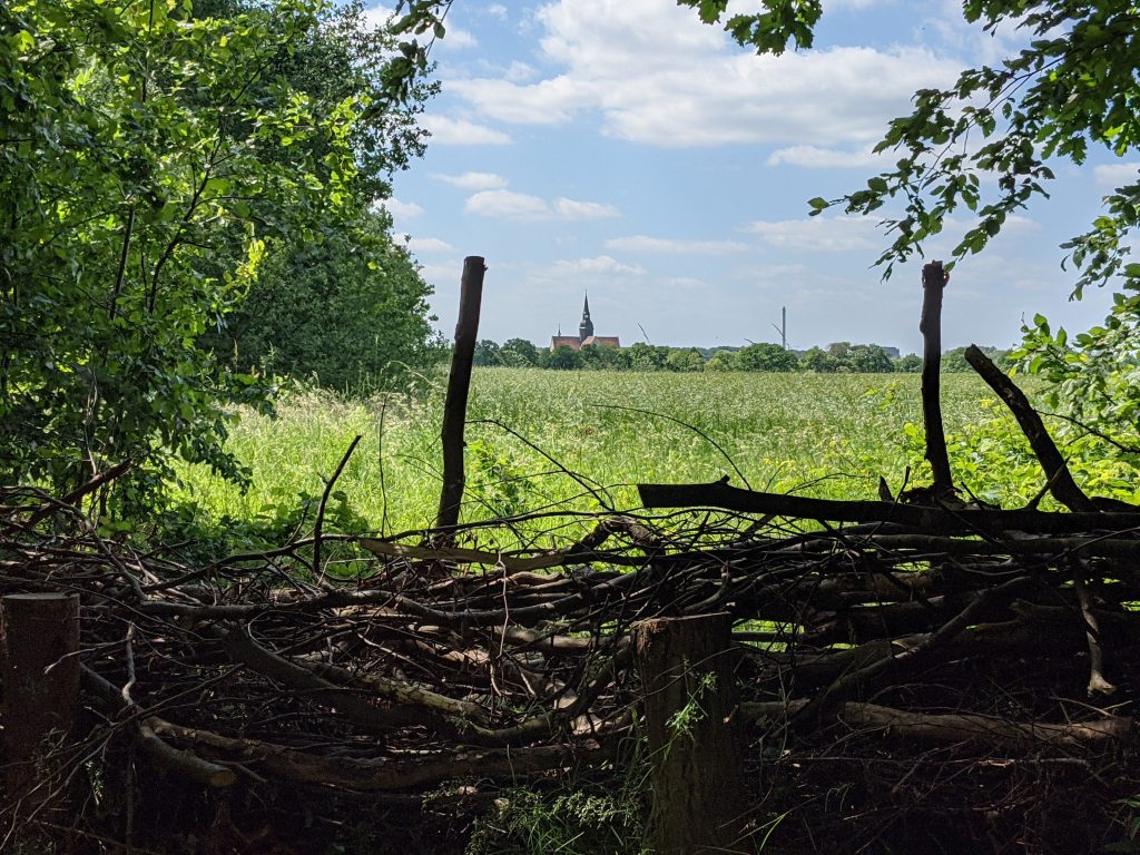 Klosterkirche Riddagshausen: fern von Südosten