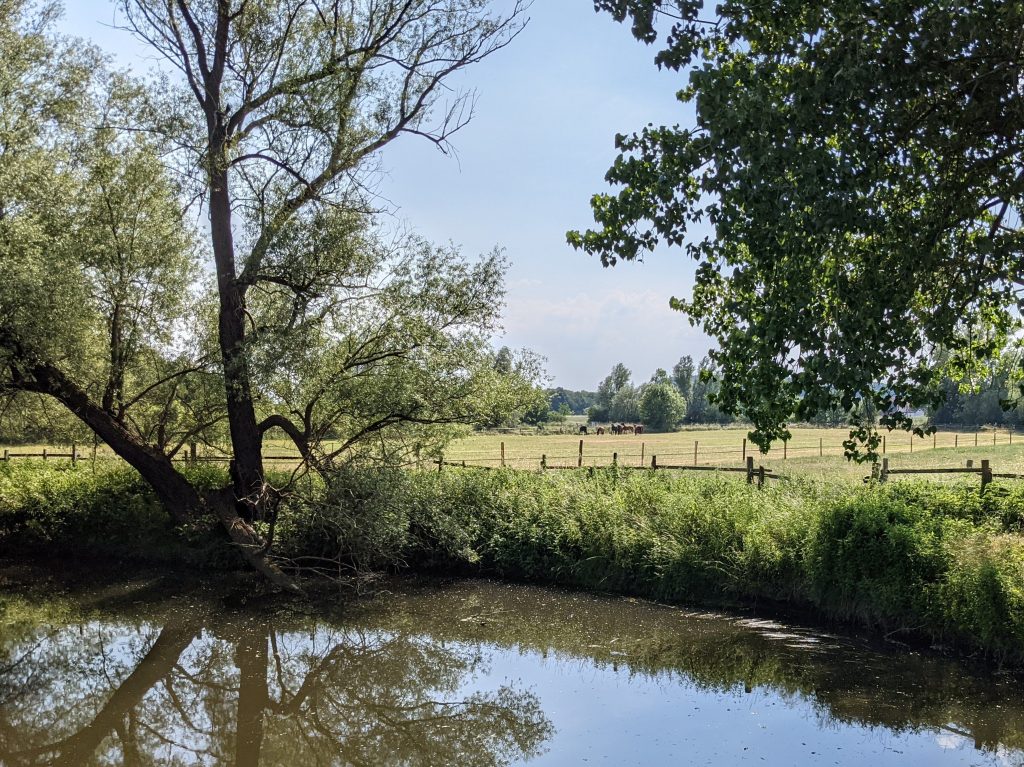 Oker bei Stöckheim 1