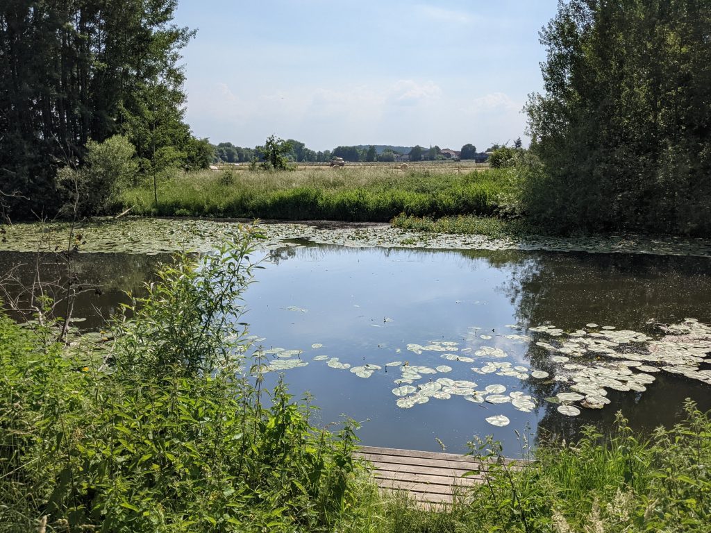 Oker bei Stöckheim 2