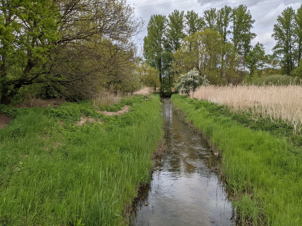 Mittelriede