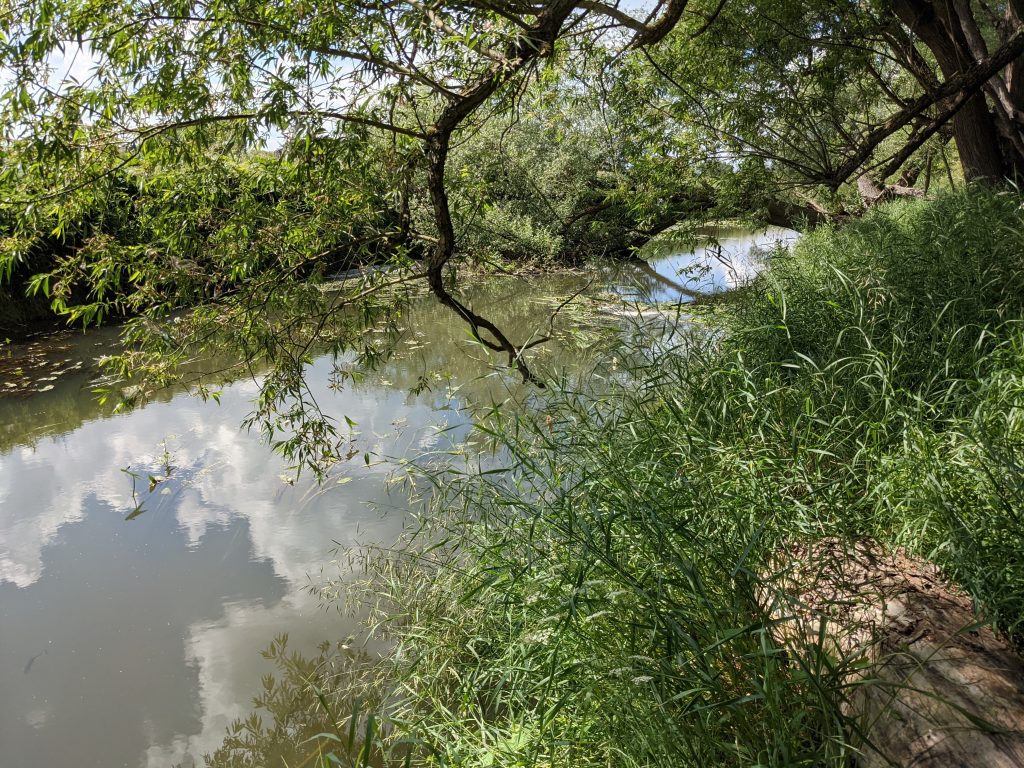 Schunter in Kralenriede 2