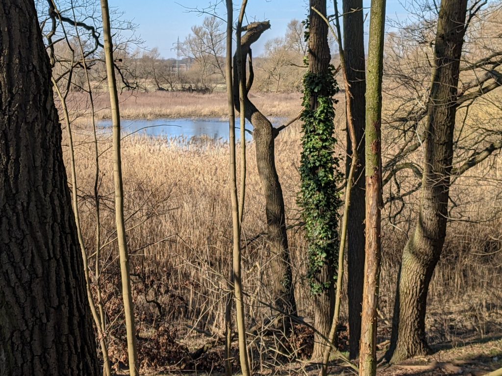Zwischen Ölpersee und Veltenhof 1