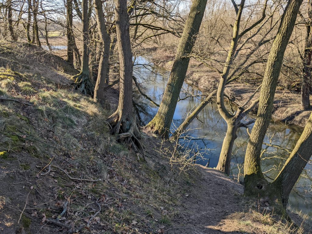 Zwischen Ölpersee und Veltenhof 2