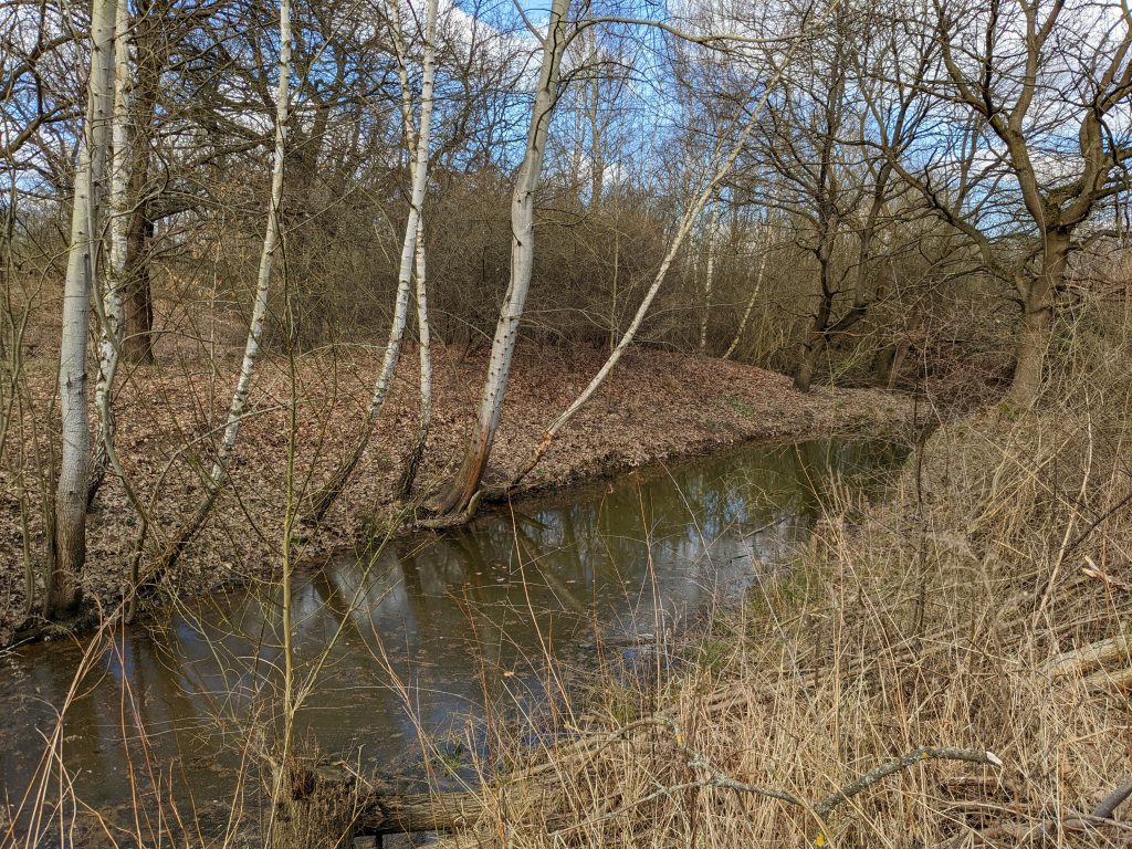 Borwall