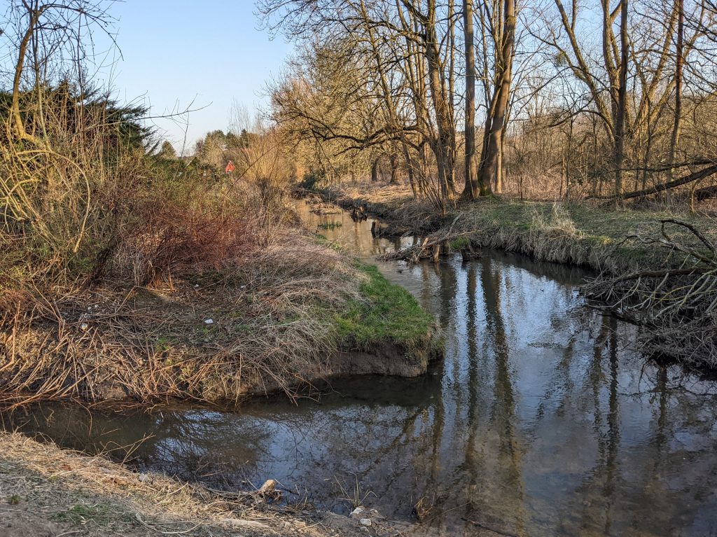 Wabe am Mutterkamp