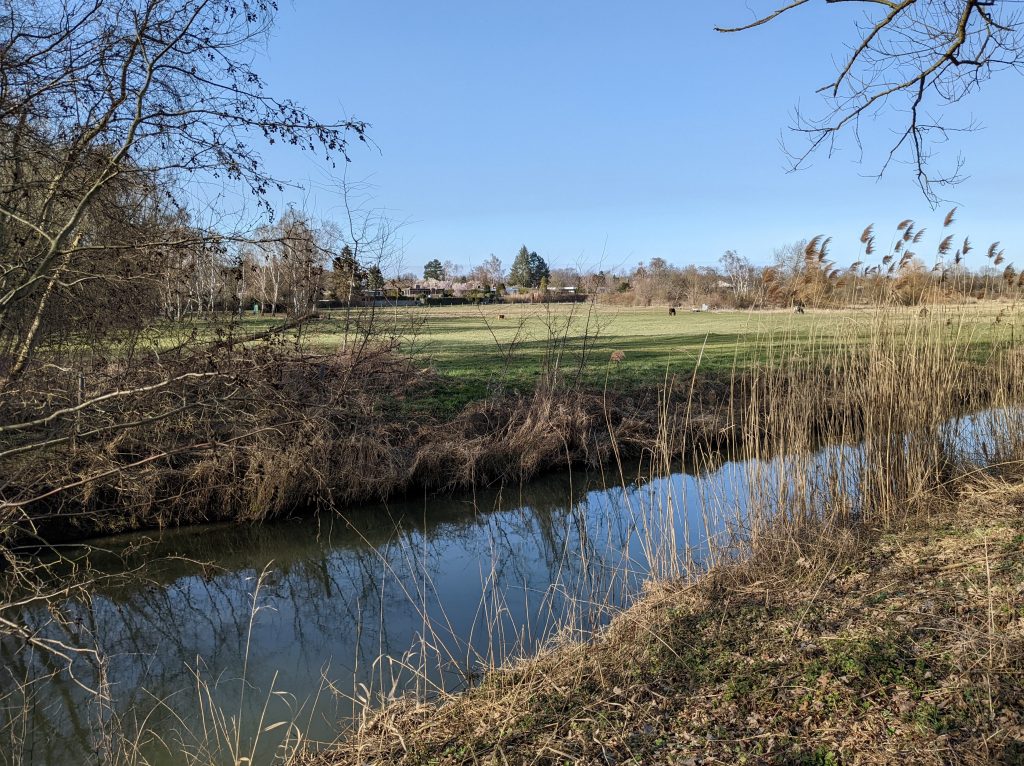 Schunter bei Querum