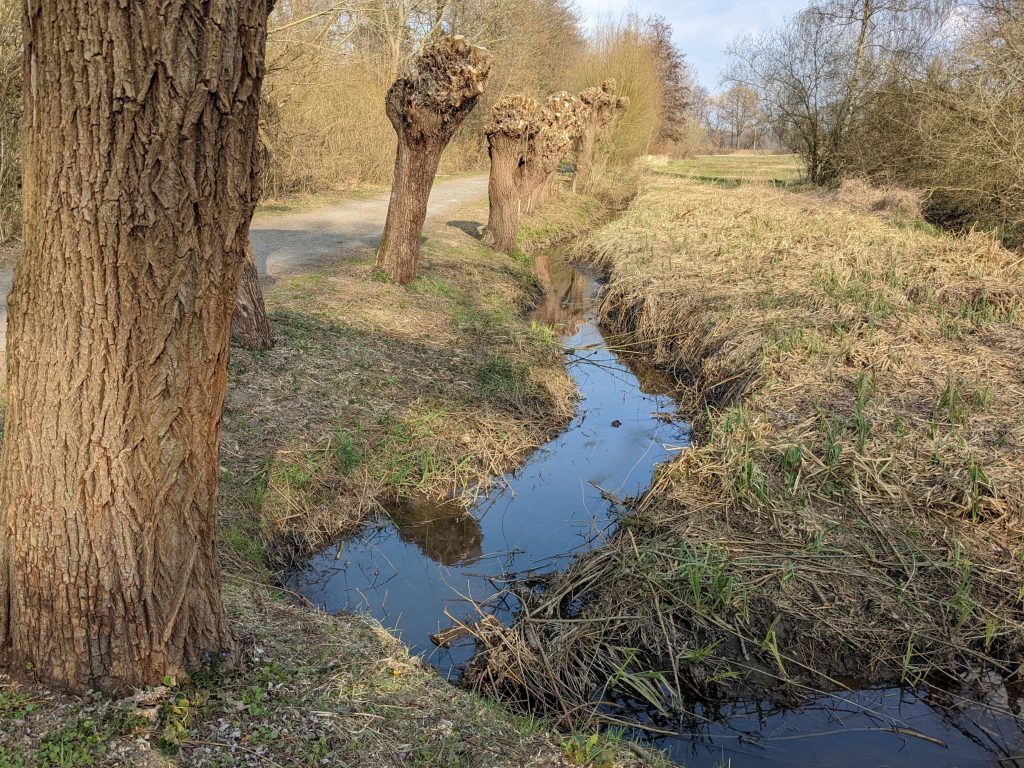 Fischergraben