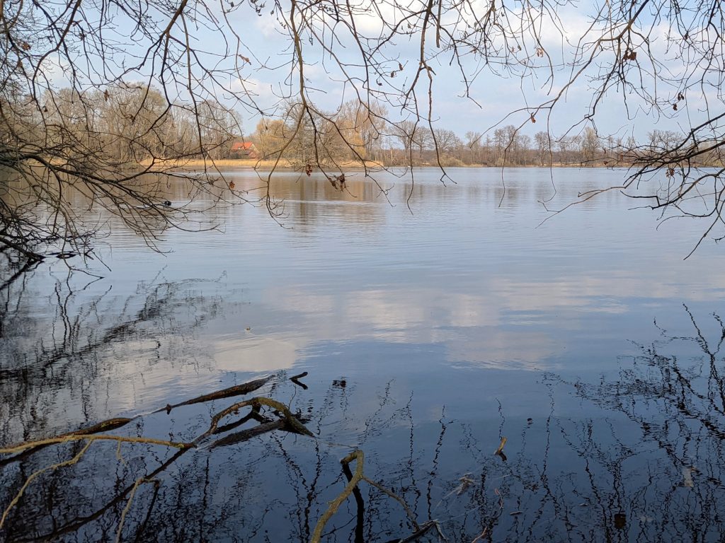 Mittelteich