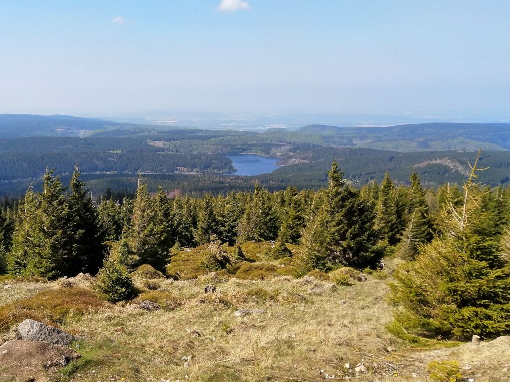 Eckertalsperre vom Brocken aus gesehen