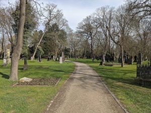 Magnifriedhof