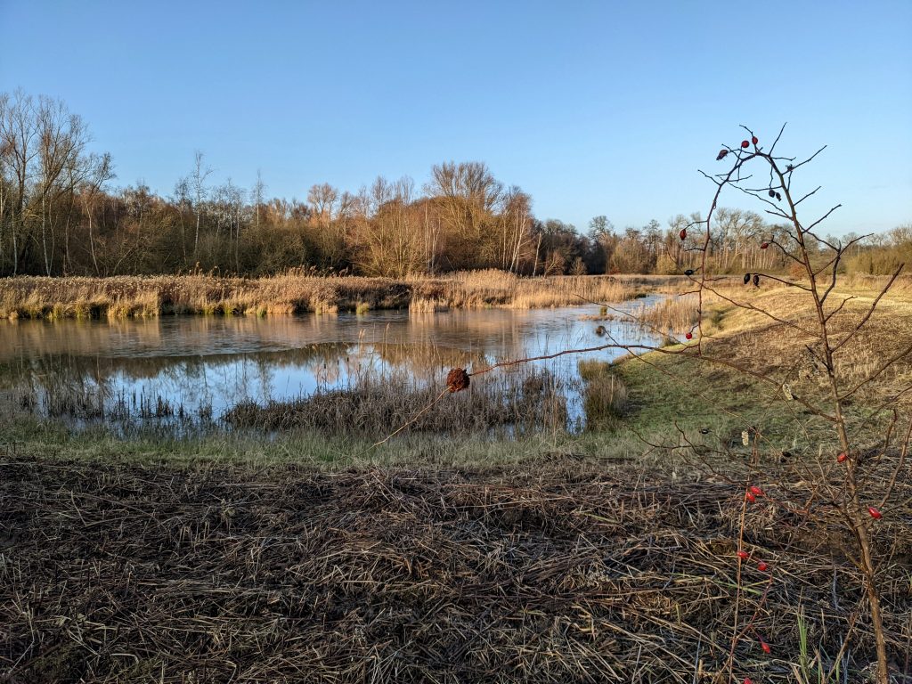 Namenloser Teich in der Nähe des Rüninger Wasserwerks