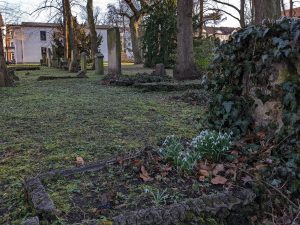 Friedhof Broitzemer Straße