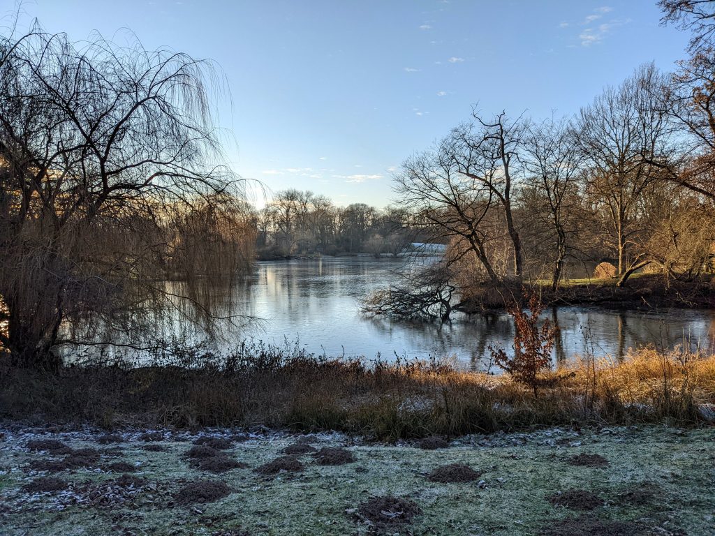 Südlicher Teich von Osten im Winter