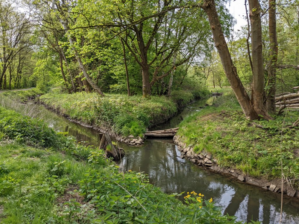 Mittelriede am Tafelmakerweg 2