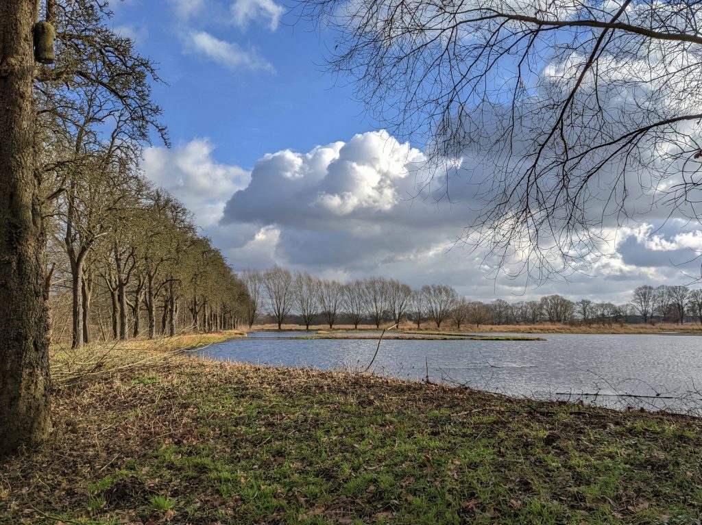 Rieselfelder