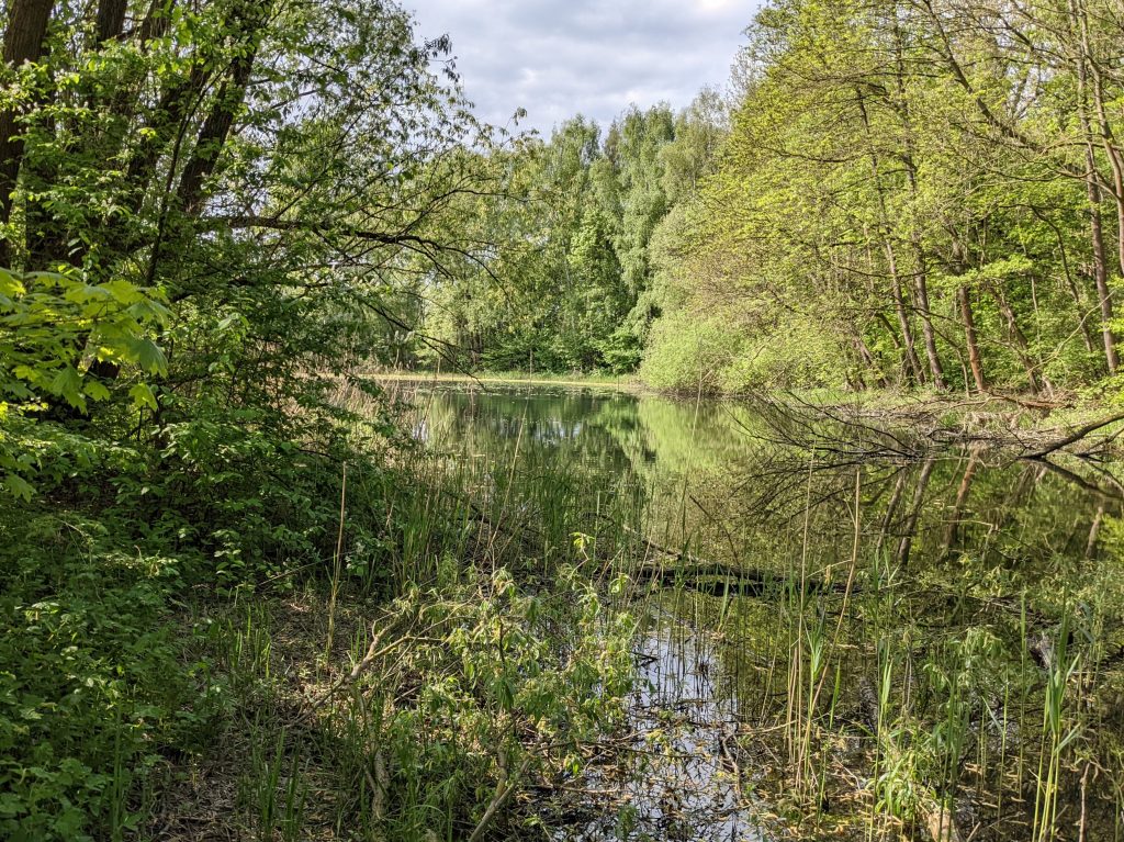 Fuhsekanal