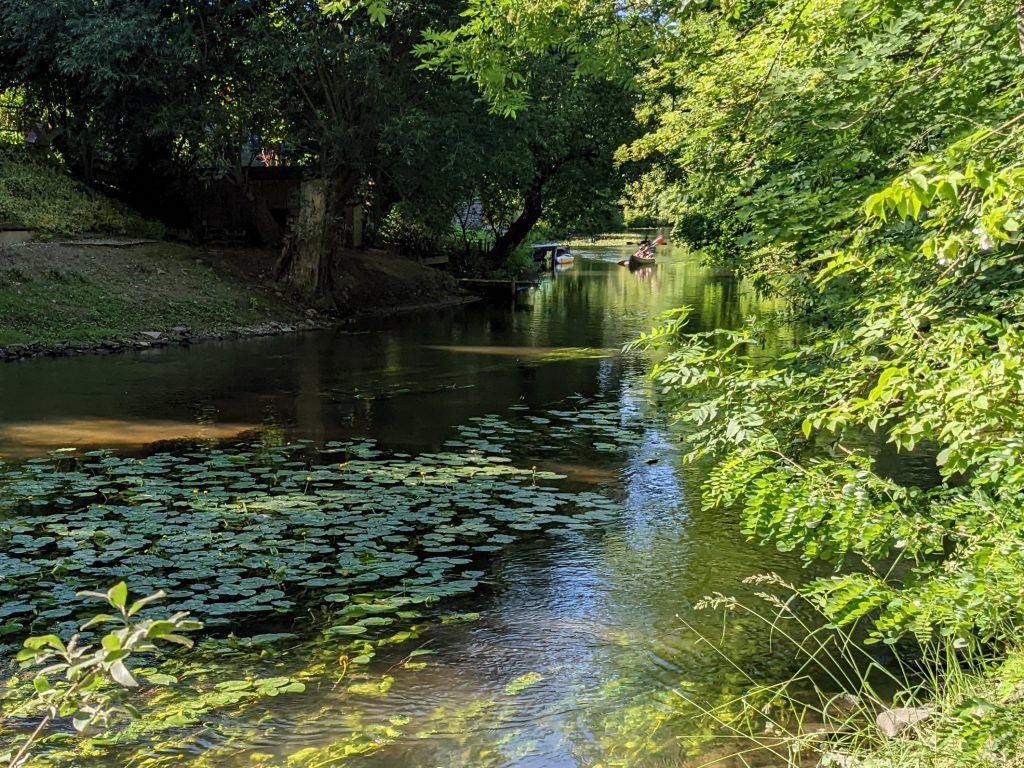 Oker am westlichen Rand des Inselwallparks