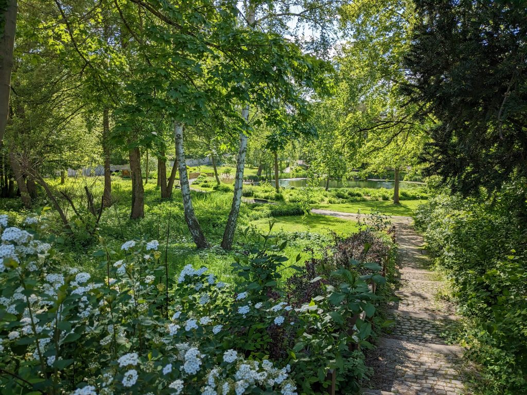 Ententeich am Glockenkamp