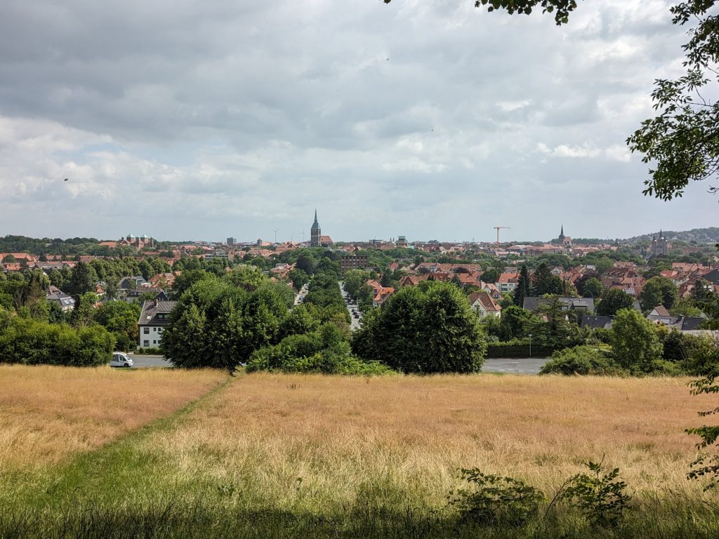 Berghölzchen