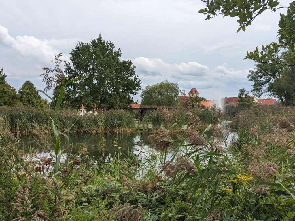 Park am Schloss Schöningen