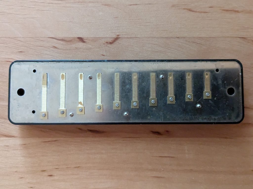 Stimmzungen an der unteren Stimmplatte