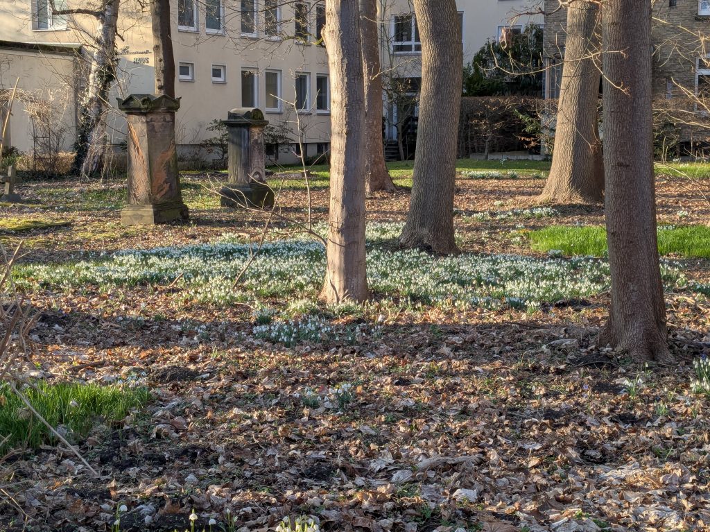 Friedhof Freisestraße