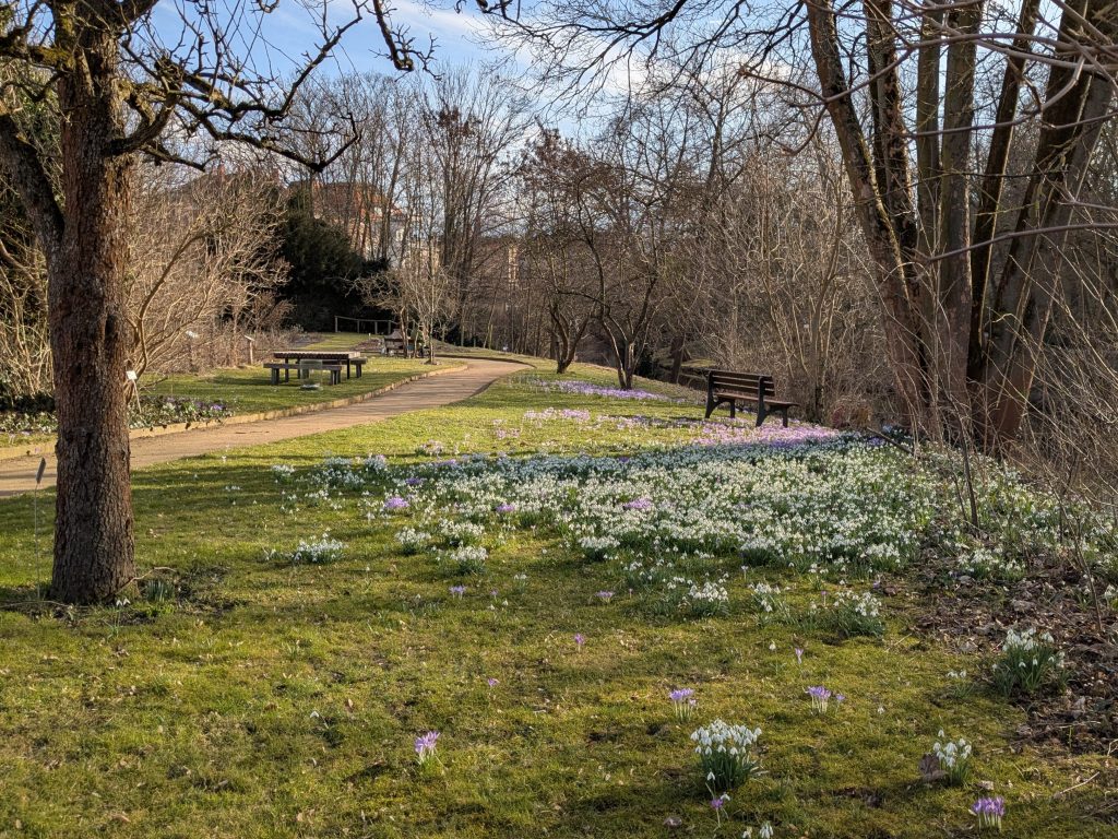 Botanischer Garten Erweiterungsteil