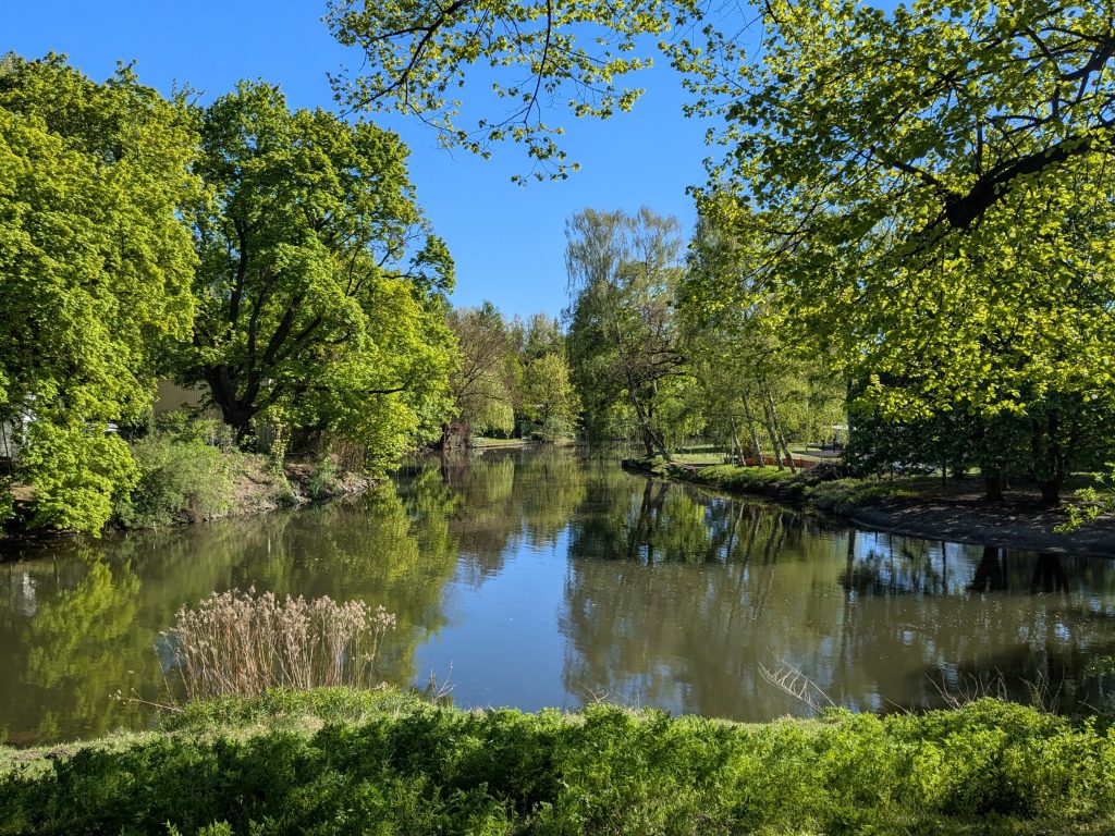 Okerverzweigung