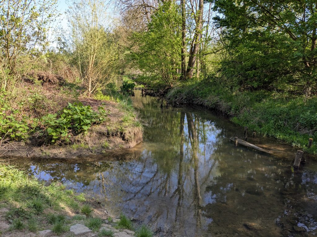 Wabe am Mutterkamp
