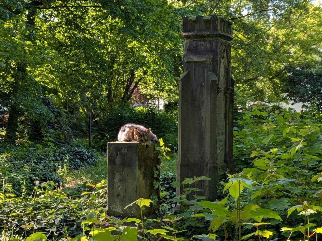 Petrifriedhof