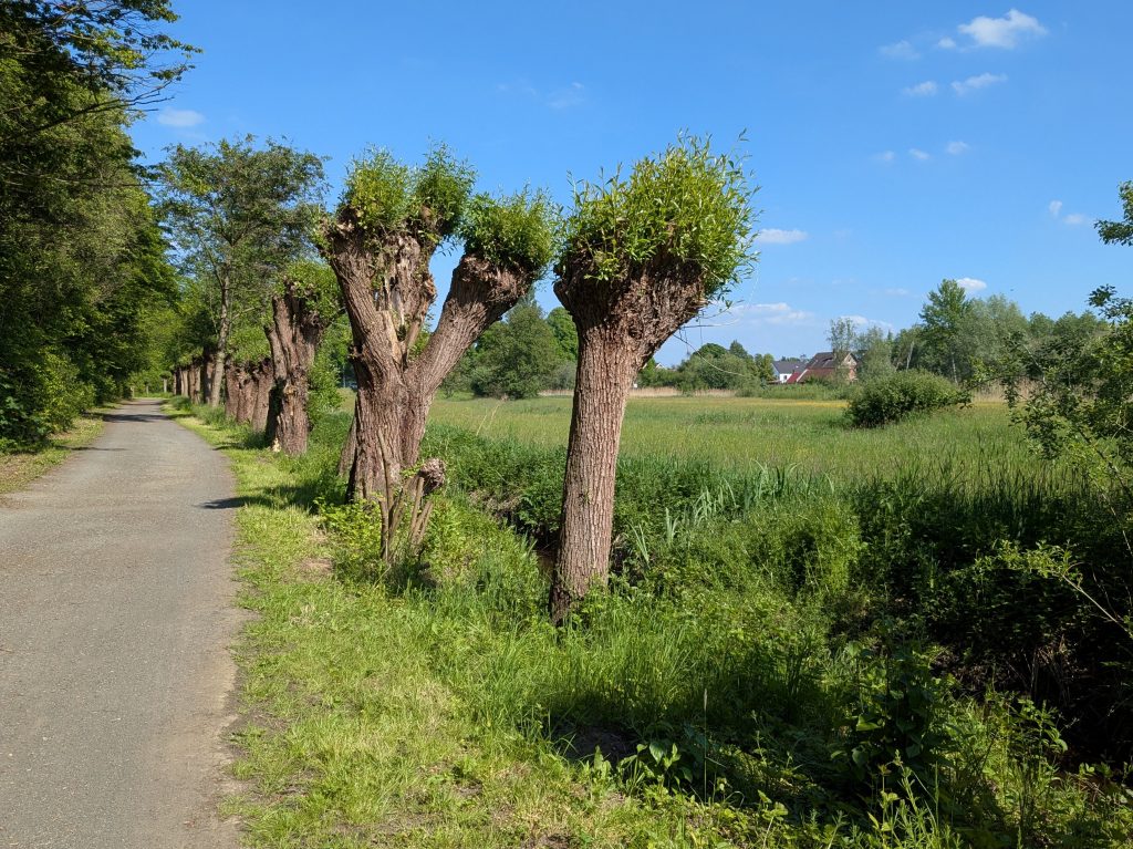 Fischergraben